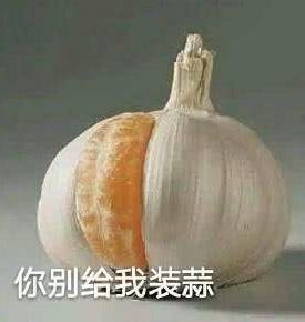 你别给我装蒜