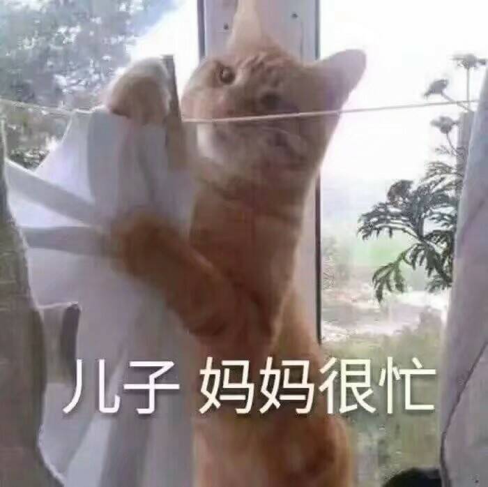 儿子妈妈很忙