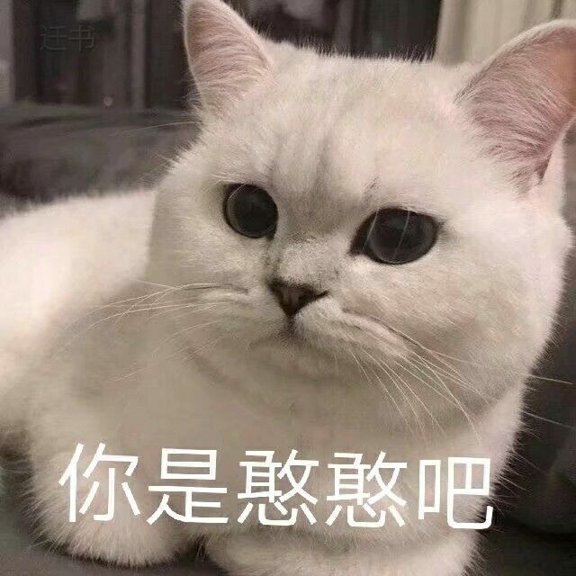 你是憨憨吧