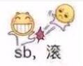 sb，滚