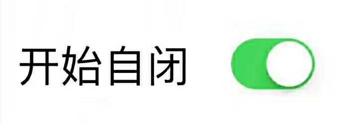 开始自闭