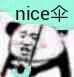 nice伞