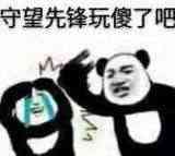 守望先锋玩傻了吧