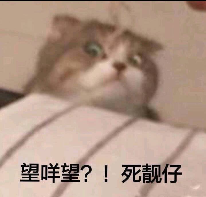 一毁望咩望？！死靓仔