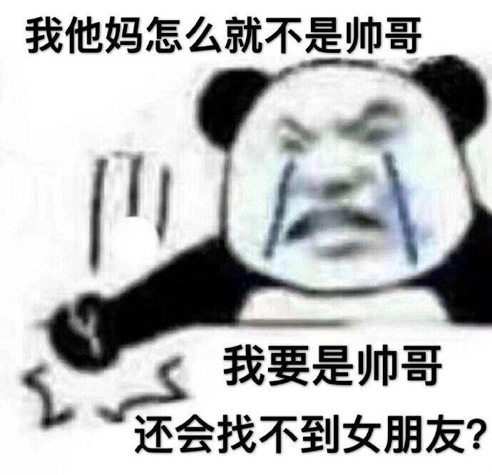 我他妈怎么就不是帅哥，我要是帅哥还会找不到女朋友？