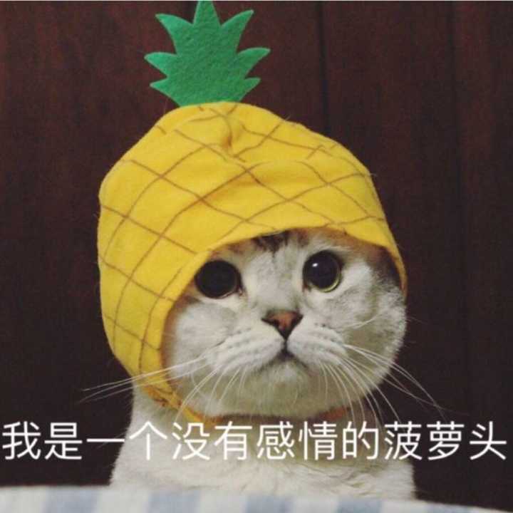 我是一个没有感情的菠萝头