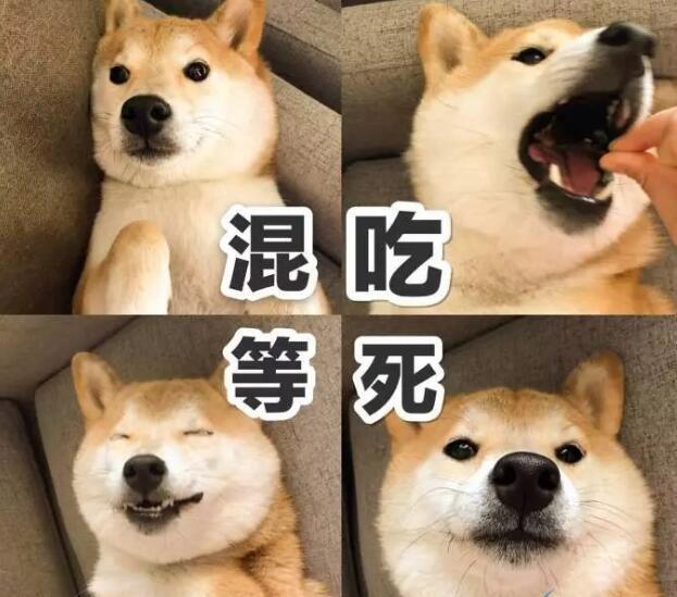 混等吃死