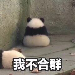 我不合群