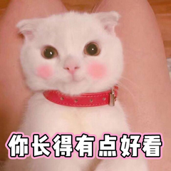 你长得有点好看