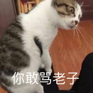 你敢骂老子了？