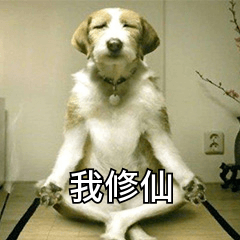 我修仙