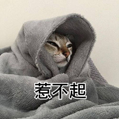 惹不起