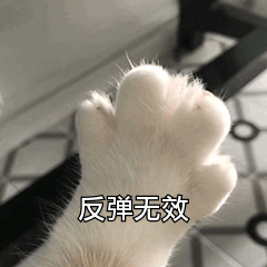 反弹无效