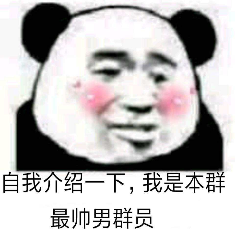 自我介绍一下，我是本群最帅男群员