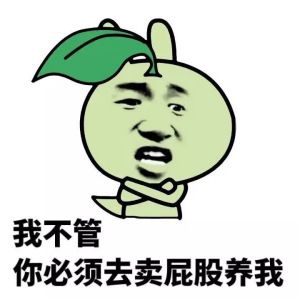 我不管你必须去卖屁股养我