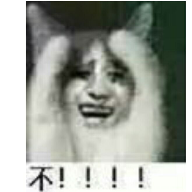 不了