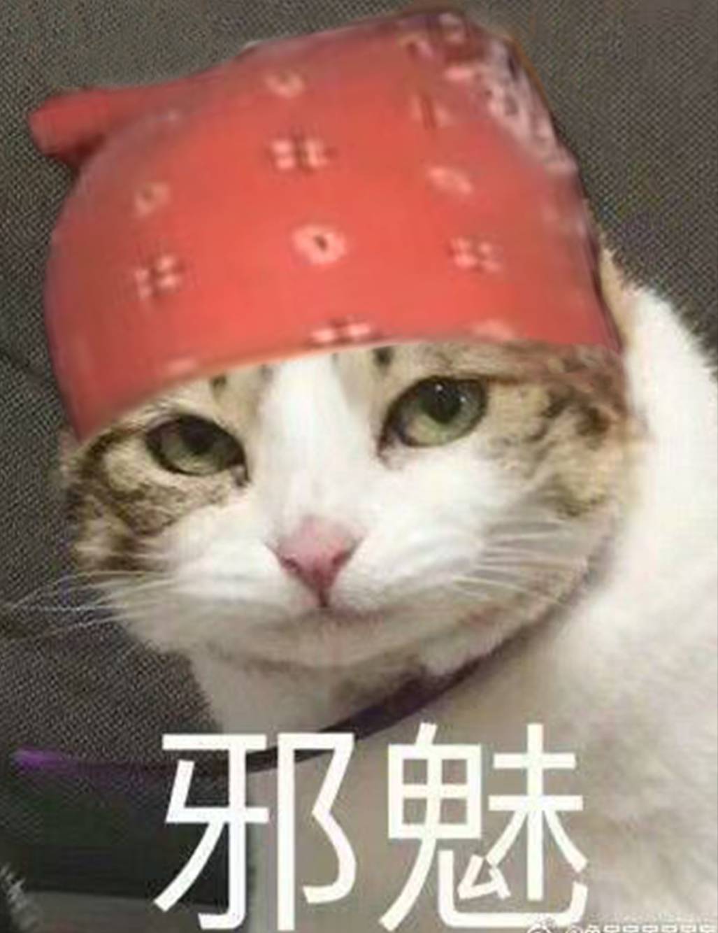 邪魅