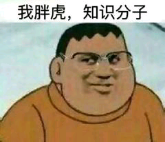 我胖虎，知识分子