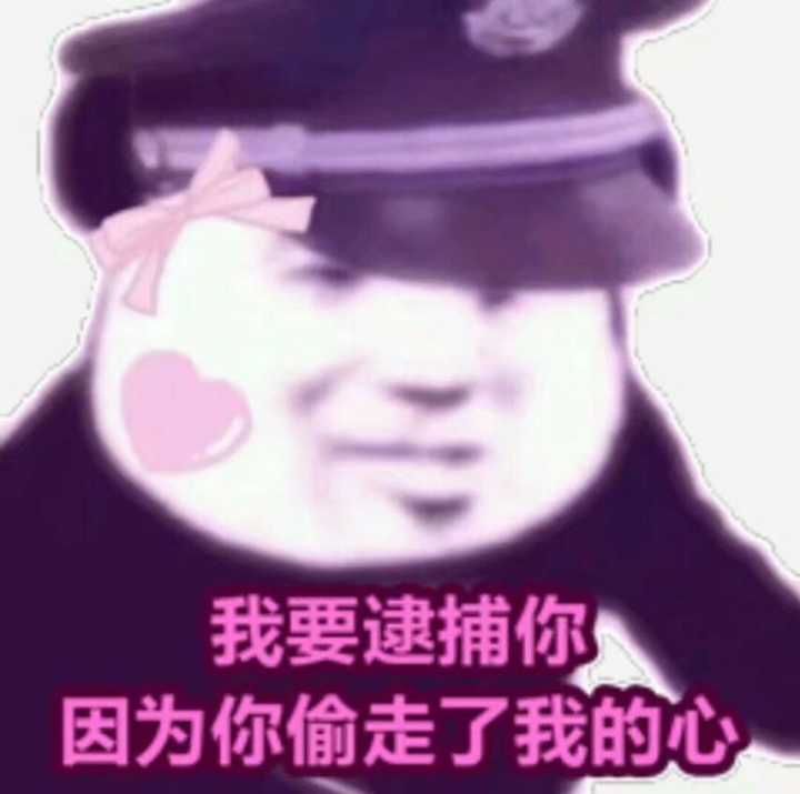 我要逮捕你，因为你偷走了我的心