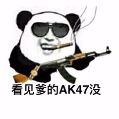 看见爹的AK47没