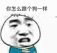 你怎么跟个狗一样