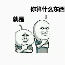 你算什么东西就是