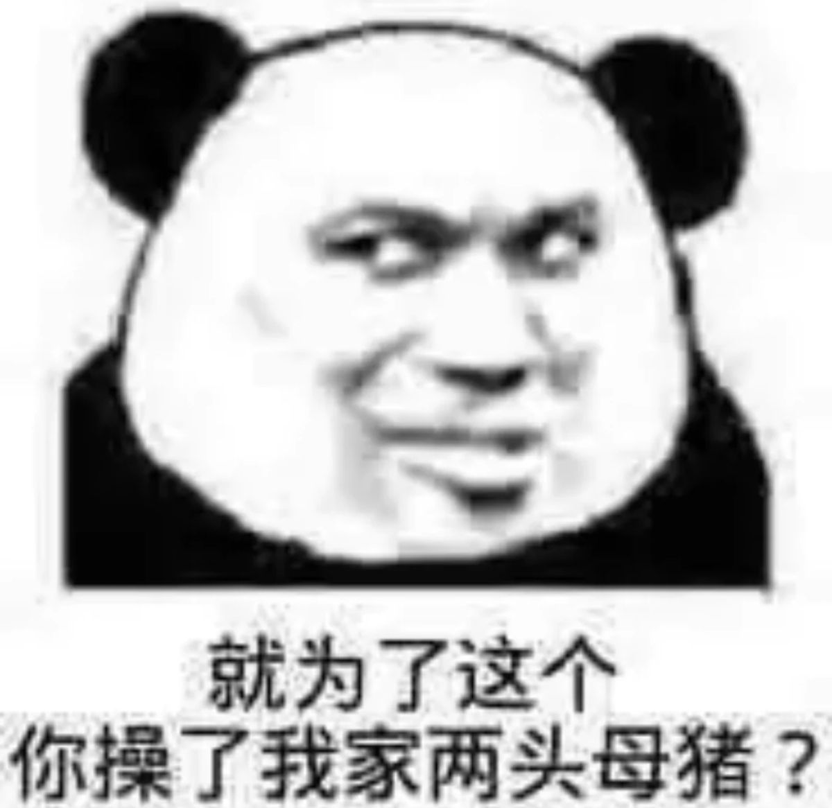 就为了这个你操了我家两头母猪？