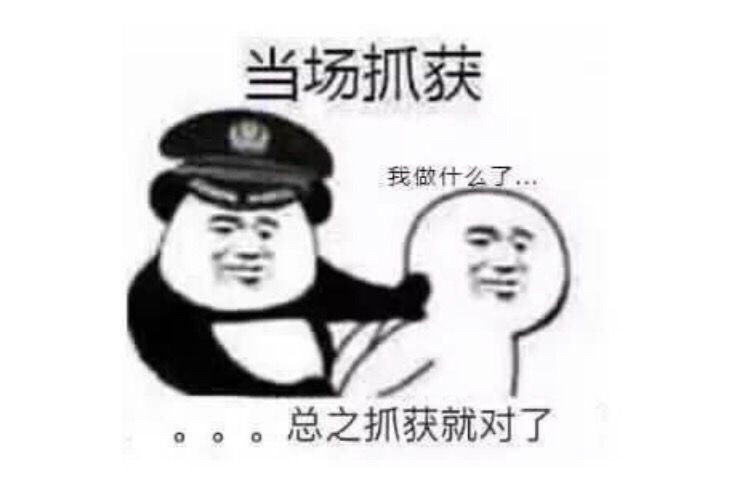 当场抓获我做什么了。。。总之抓获就对了