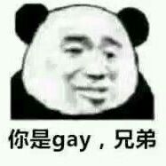 你是gay，兄弟