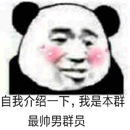 自我介绍一下，我是本群最帅男群员