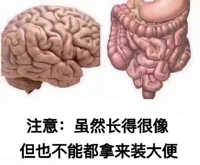 注意：虽然长得很像但也不能都拿来装大便