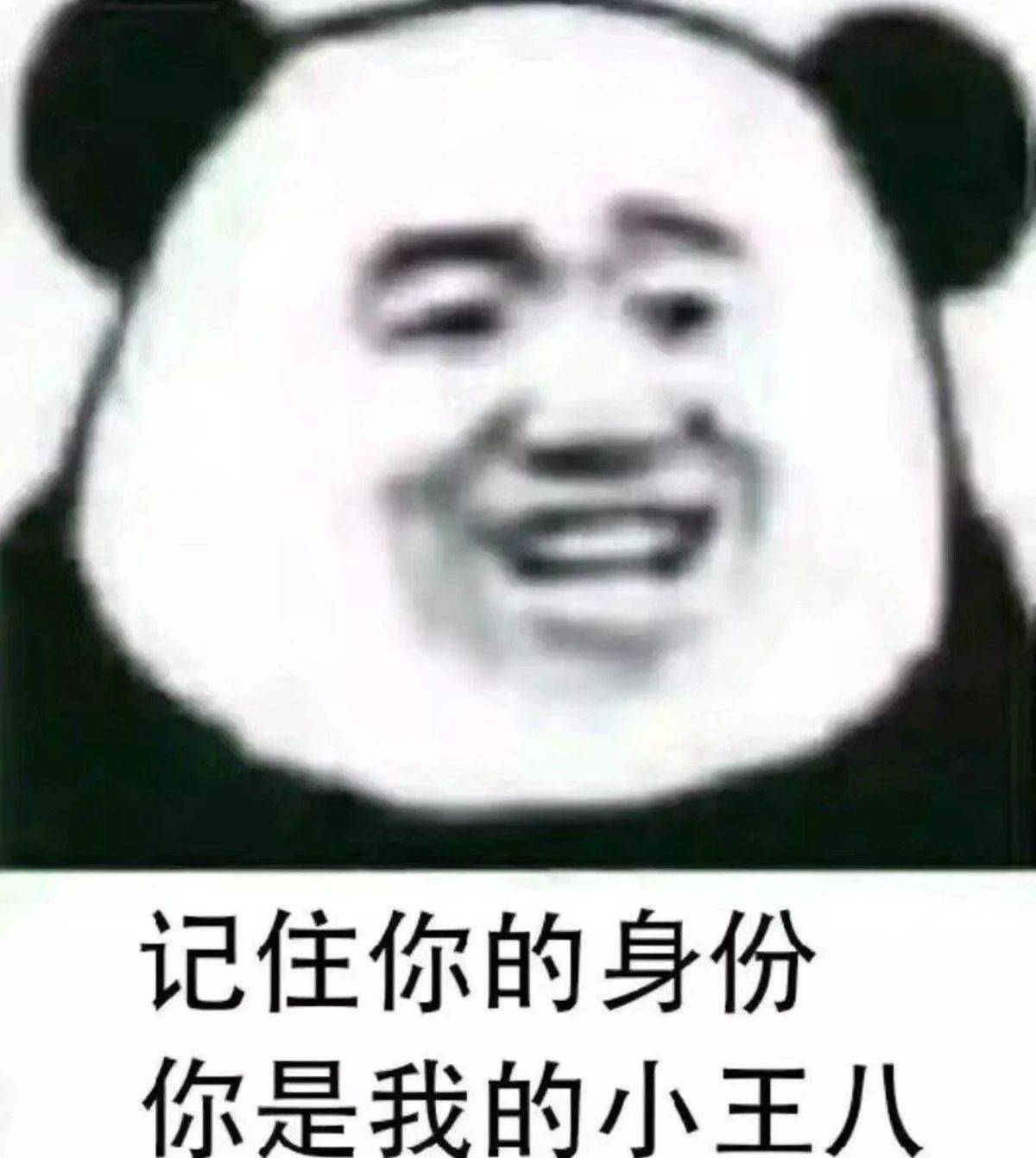 记住你的身份，你是我的小王八