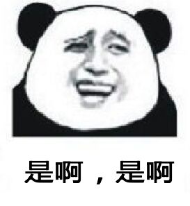 是啊，是啊