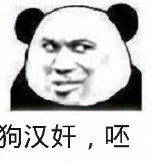 狗汉奸，呸