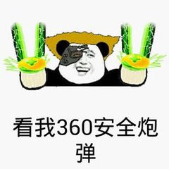 看我360安全炮弹