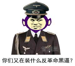 你们又在装什么反革命黑逼？