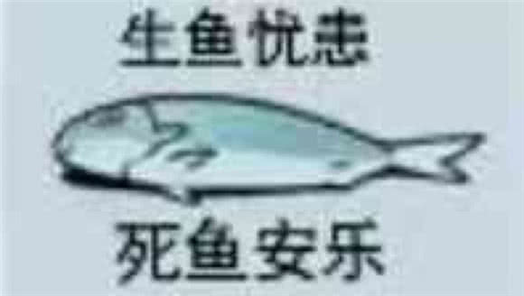 生鱼忧志死鱼安乐