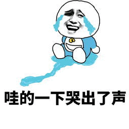 哇的一下哭出了声