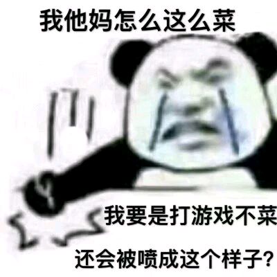 我他妈怎么这么菜，我要是打游戏不菜，还会被喷成这个样子？