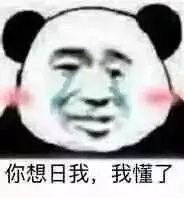 你想日我，我懂了