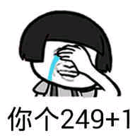 你个249+1