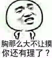 胸那么大不让摸，你还有理了？