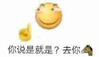 你说是就是？去你马