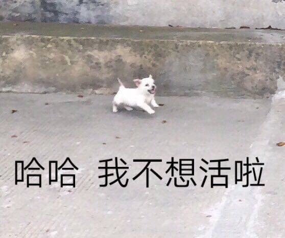 哈哈我不想活啦