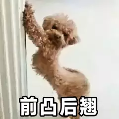 前凸后翘