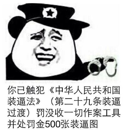 你已触犯《中华人民共和国装逼法》没收一切作案工具并处罚金500张装逼图