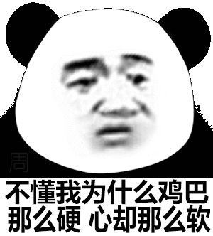 不懂我为什么死那么硬心却那