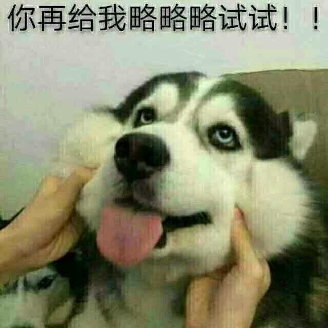 你再给我略略略试试！！