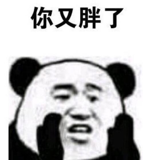 你又胖了