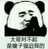 大哥对不起是嫂子强迫我的